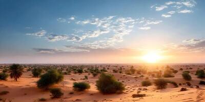 Sunset over Arabian Desert Landscape with Palm Trees and Sand Dunes photo