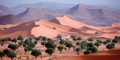 Orange Sand Dunes Desert Landscape with Trees photo