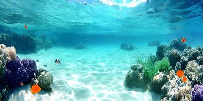 Underwater Scene Vibrant Coral Reef Tropical Fish Ocean Floor photo