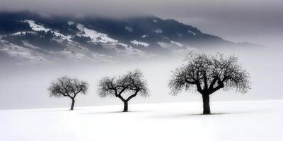 Three Leafless Trees Snowy Landscape Winter Mountains Foggy Scenery photo