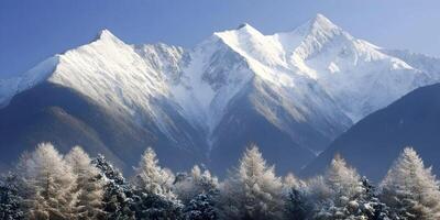 Snowcapped Mountain Range Winter Landscape with Snow Covered Trees photo
