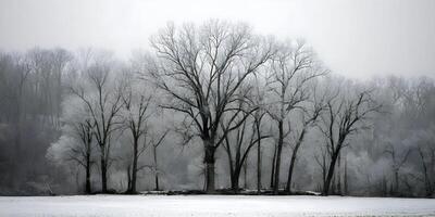 Winter Landscape Snow Covered Trees Frosty Branches Snowy Field Cold Season Nature Scene photo