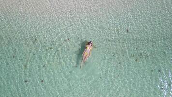 Top-down view of woman in yellow swimsuit swimming in crystal clear exotic sea with starfish on Phu Quoc Island, Vietnam. Concepts of summer, tropical vacation, and travel. video