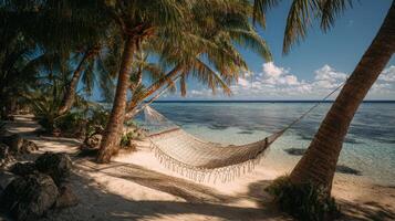 A Hammock On A Peaceful Tropical Beach photo