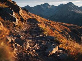 A Mountain Trail During The Late Part Of The Day photo