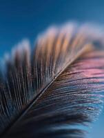 A Macro Image of a Water Drop on a Nettle Leaf photo