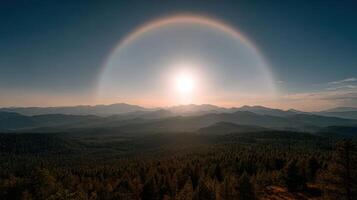 A Massive Forest Under a Solar Halo Phenomenon photo