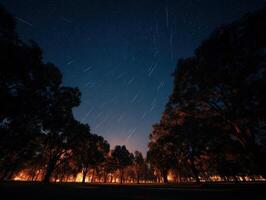 A Peaceful Botanical Garden Under A Meteor Shower photo