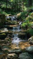 A Peaceful Woodland Brook With Small Cascades photo