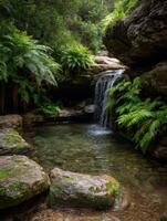 A Peaceful And Unspoiled Cascade In A Secret Place photo