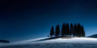 Snowy Hilltop Pine Trees Night Sky Stars Landscape photo