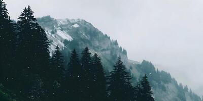Snow Falling on Mountain with Evergreen Trees photo