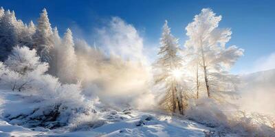 Winter Landscape Snow Covered Trees Sun Rays Misty Forest photo