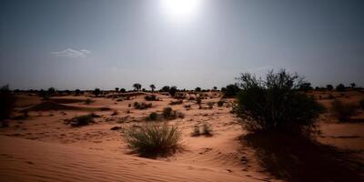 Red Sand Desert Landscape with Sparse Vegetation under Bright Sun photo