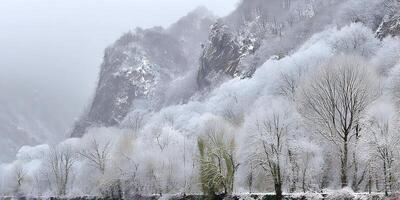 Snowy Landscape Winter Scene Trees Covered in Snow Rocky Mountain Background photo