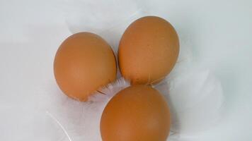 Fresh chicken eggs with white feathers close-up. Farmer's organic non-gmo product chicken eggs for sale on the market. video
