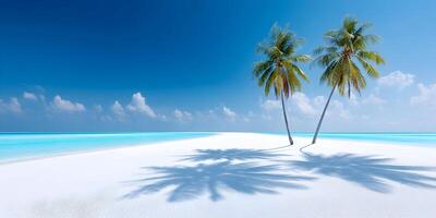 Two Palm Trees on White Sandy Beach Turquoise Ocean Blue Sky photo