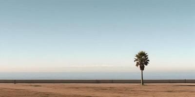 Single Palm Tree Ocean View Minimalist Seascape photo