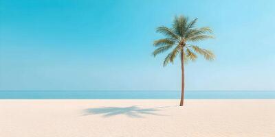 Single Palm Tree on Sandy Beach Ocean Summer Vacation Tropical Paradise photo