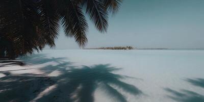 Tropical Beach Idyllic Island Scene Palm Tree Shadows Calm Ocean Water photo