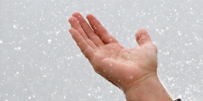 Hand Open in Falling Snow Winter Season Closeup photo