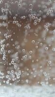 Sparkling water bubbles rising macro ASMR video