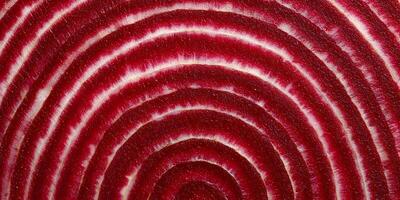 Red Beetroot Cross Section Detailed Texture Image photo