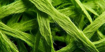 Bright Green Twisted Fibers Close Up Detailed Texture photo