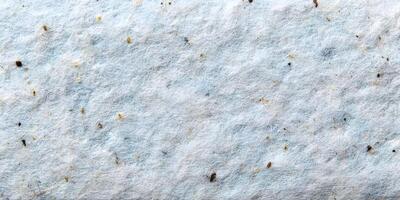 HighResolution LightBlue Handmade Paper Texture with Inclusions photo