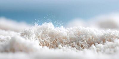 Abstract White Coral Reef Texture Background Ocean Scene photo