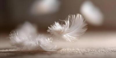 White Feathers Floating Soft Downy Light Brown Background photo