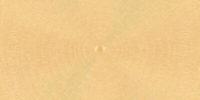Abstract Beige Circular Lines Pattern Texture Background photo