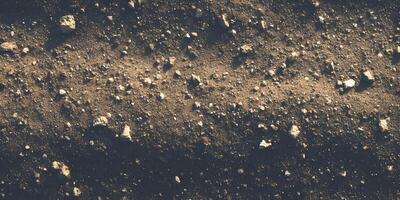Brown Soil Texture with Small Stones and Rocks Background Image photo