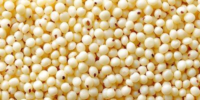 Close Up of Uncooked White Amaranth Grains Food Texture Background photo