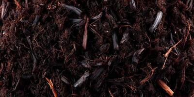 Dark Brown Soil Texture Background Close Up photo