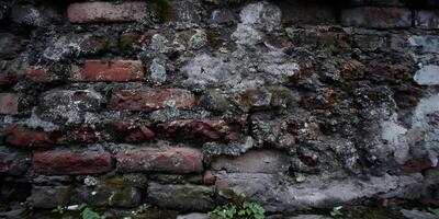 Old Weathered Brick Wall Texture Red Brown Grey Moss photo