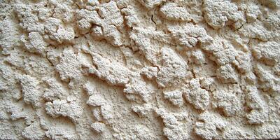 Light Beige Pebble Dash Wall Texture Seamless Pattern photo