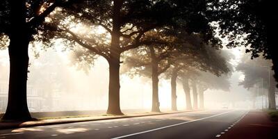Sun Rays Through Trees Misty Morning Road Residential Area photo