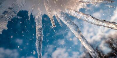 Melting Icicles Closeup Winter Scene Sparkling Ice Crystals Frozen Water Blue Sky Background photo