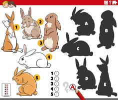 finding shadows puzzle with cartoon rabbits animal characters vector