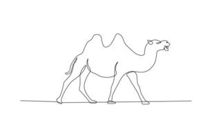 Camel in continuous line drawing style. Animal in black linear sketch isolated on white background. vector
