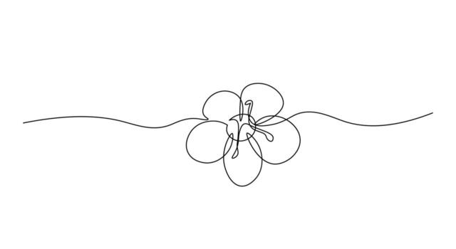 Sakura flower petal in one continuous line. Sakura in black linear sketch isolated on white background. vector