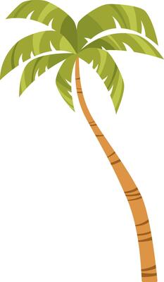 Tropical green palm tree with leaves. Hand drawn simple cartoon illustration.