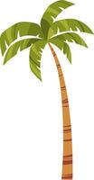Tropical green palm tree with leaves. Hand drawn simple illustration. vector
