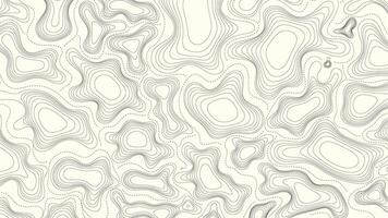 Topography line terrain landmark mountain map in light background banner template vector