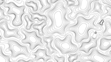 Modern topography abstract lines with dash stroke paths template in transparent background vector