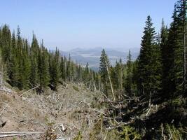 A Clearing's View of Distant Peaks and Valley photo