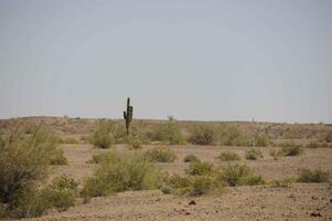 A Vast Desert Landscape on Cibola National Grassland Under a Hazy Sky photo
