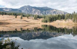 A Natural Mirror Reflecting Majestic Mountains and Serene Pine Forests Under a Vast Sky photo