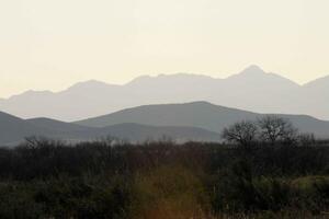 A Serene Desert Landscape with Silhouetted Mountains and Sparse Vegetation at Dusk photo